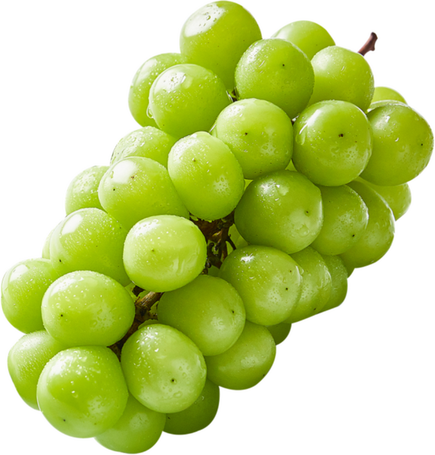 [재구매율1위]꿀과즙 18brix 끝판왕 샤인머스켓, 1박스, 옵션1-500g