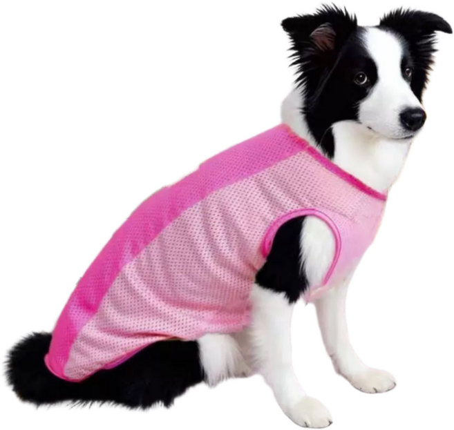 중형견 대형견 배색 메쉬티 여름 쿨티 민소매 쿨나시 매쉬티 중대형견, 1개, 핑크
