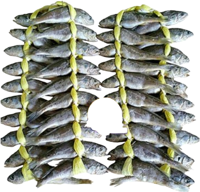 놀부장수 영광굴비 20마리+20마리 40마리 1세트, 2개, 1.2kg