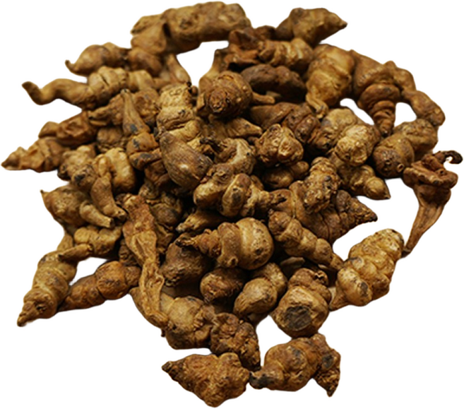 청수생약 국산 볶은 초석잠 200g 골뱅이형, 1개