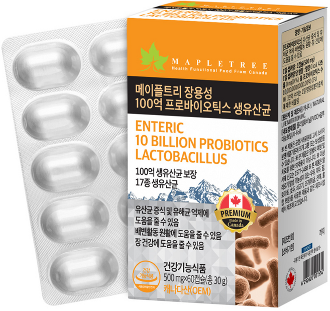 메이플트리 장용성 100억 프로바이오틱스 생유산균, 60정, 1개