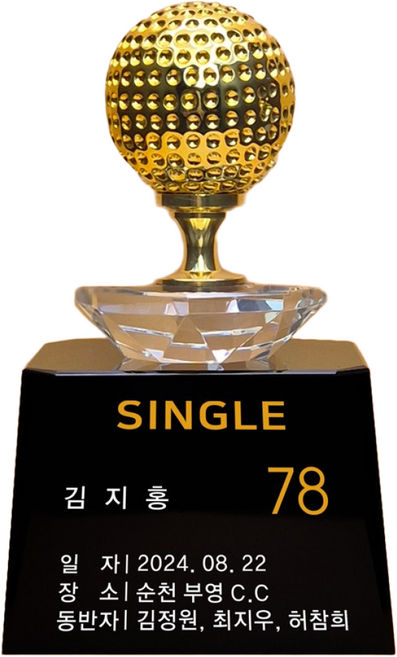 상패팡팡 골프트로피 홀인원트로피 싱글패 골프대회 이글패 홀인원기념패 롱기스트, 1개