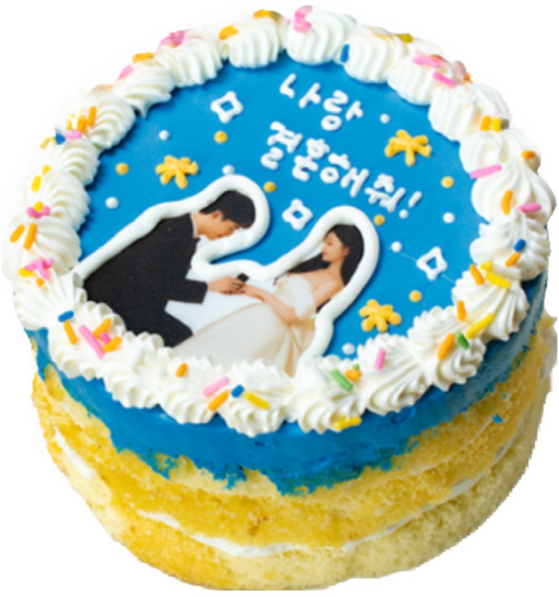 (평일 낮 12시전 주문 오늘출발) 케익팩토리 미니 블루스냅포토, 1개, 240g