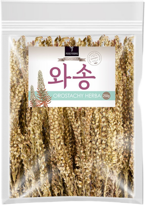 퓨어영 국산 건조 와송 250g, 1개