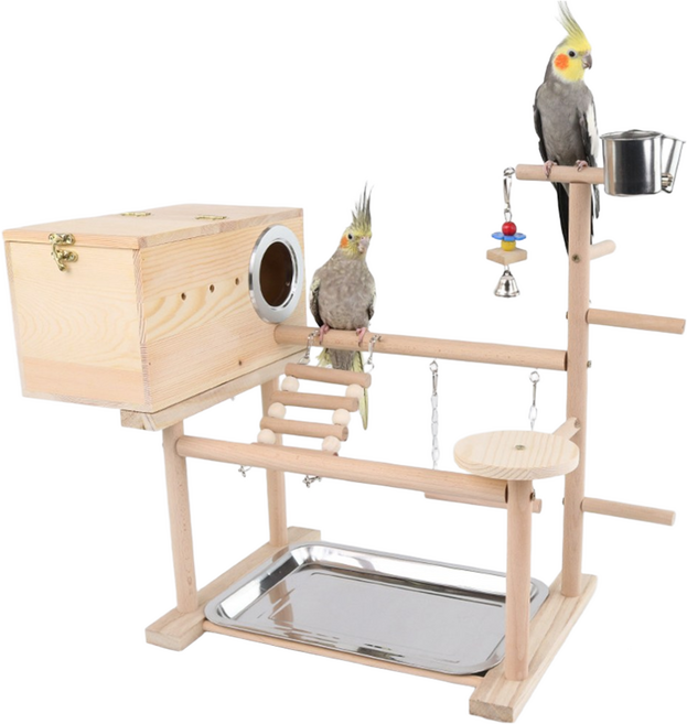 공심 앵무새 알통 놀이터 횃대, 혼합색상, 1개