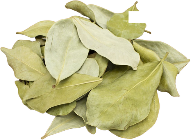 퓨어영 국산 구아바잎 100g 구아바, 1개