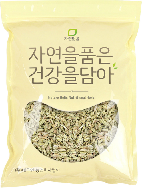 자연닮음 회향 펜넬 산미나리씨앗 500g, 1개