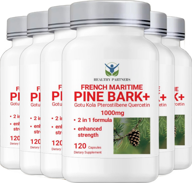 HEALTHY PARTNERS 프랑스해안송 소나무껍질추출물 고투콜라 프테로스틸벤 퀘르세틴 1000mg 폴리페놀, 6개, 120정