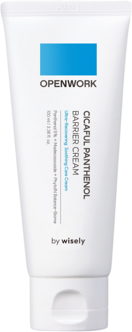 와이즐리 시카풀 판테놀 진정 보습 크림, 1개, 100g