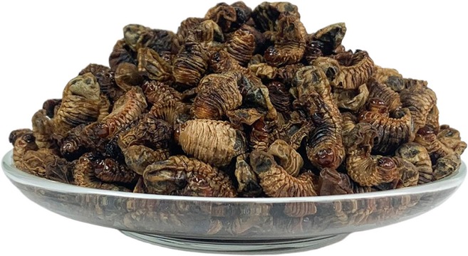 오허브 국산 말린 굼벵이 굼뱅이 200g, 1개