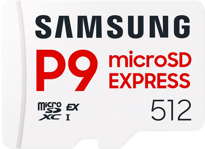 삼성전자 마이크로SD 익스프레스 카드 P9 Express 닌텐도스위치2 +케이스, 1개, 512GB