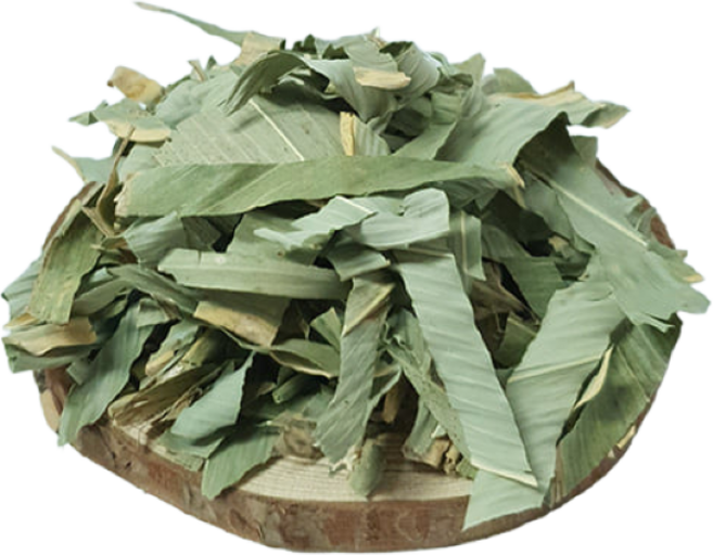 백장생 제주 얼룩 조릿대 담죽엽 산죽, 200g, 3개