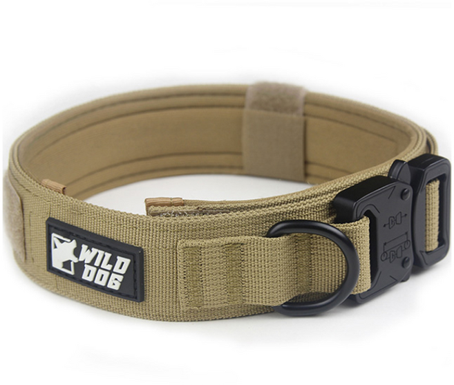 와일드독 강아지 메탈칼라 목줄, 틴브라운, 1개