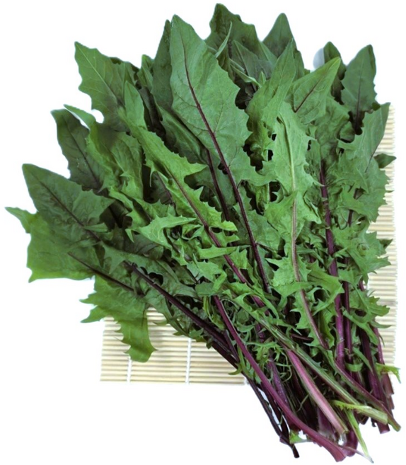 싱싱한 적치커리 100g 300g 1kg, 1개, 적치커리100g