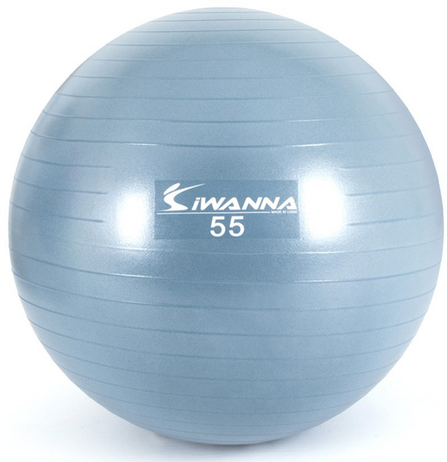 아이워너 안티버스트 앤 마사지 짐볼, 더스티블루