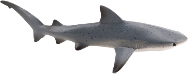 제트피규어 흑기흉상어 장난감 바다 해양 동물 생물 모형 피규어, 1개