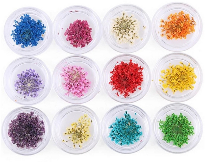 테네져 드라이생화 압화네일 12종 세트, 혼합색상, 1개