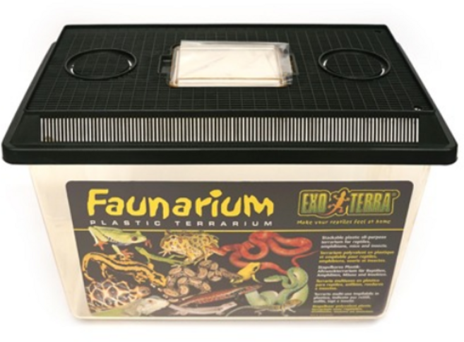 [엑소테라] 채집통(특대), 1개