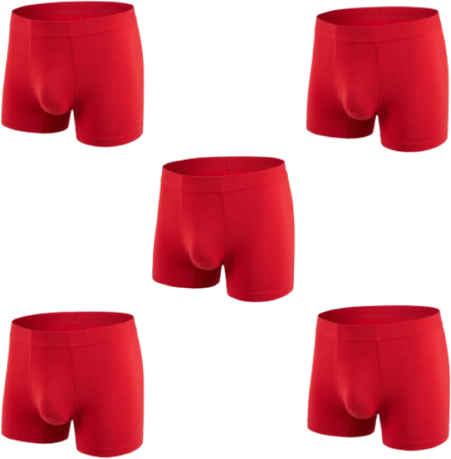 NDM 모달 안말리는 남성 심리스 드로즈 팬티 5종 세트