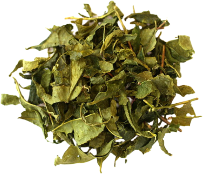 녹차잎, 300g, 1개, 1개, 300g, 1개입