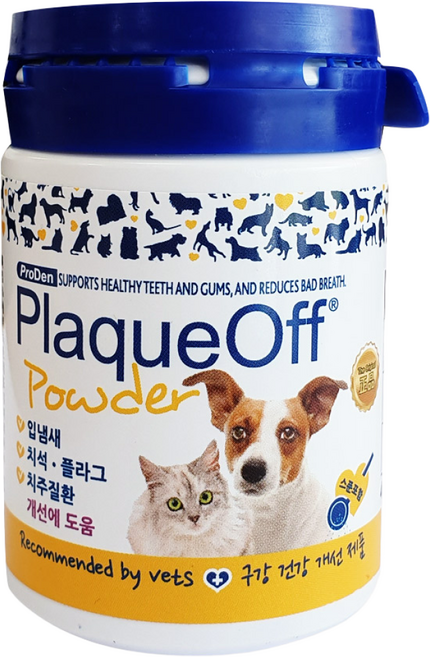 프로덴 플라그오프 독앤캣 40g(구강건강개선), 1개, 40g
