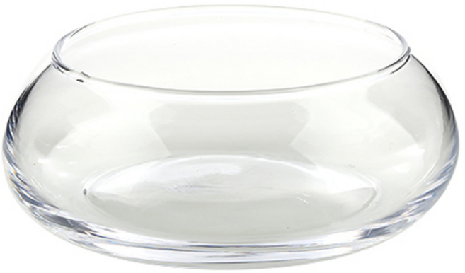 모두다 수경재배 유리 수반 어항, 1개, 유리수반