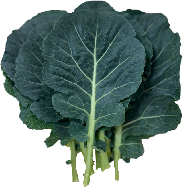 야채이야기 쌈케일 2kg (1.8-2kg) 케일 쌈 채소, 1박스