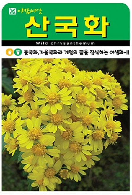 솔림텃밭몰 산국화씨앗 10000립 산국화 꽃씨앗 꽃씨 야생화, 2개