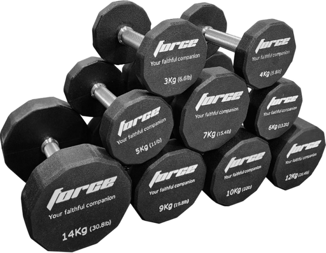 포스 12각 우레탄 아령 CPU 덤벨 악취 없는 덤벨 3~60kg [동화스포츠 공식 제품], 10kg, 1개