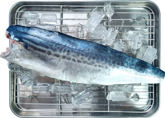 제주 안동수산 삼치 특대, 1세트, 900g