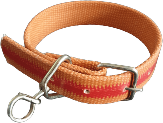 제이제이펫 강아지 산책 밸트 슈밸 목줄 목걸이 중형견 대형견, 1개