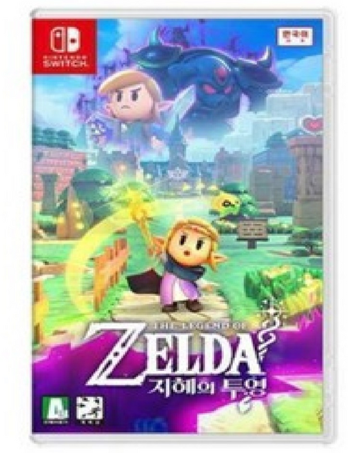 닌텐도 스위치 젤다의 전설 지혜의 투영