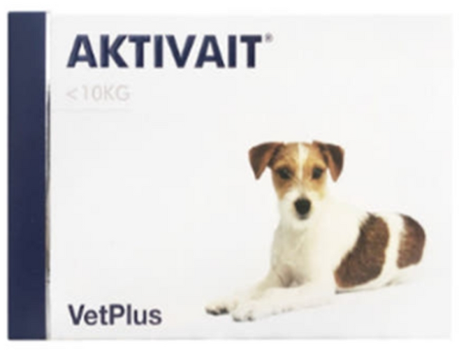 벳플러스 강아지 독 액티베이트 소형견 스몰브리드 60캡슐 2개, 눈/인지, 60정