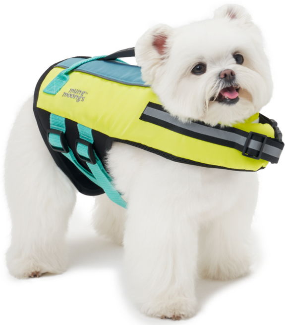 멍뭉스 강아지 물놀이 세이프가드 구명조끼, 옐로우+아쿠아 블루, 1개