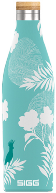 지그 메리디안 수마트라 보온 보냉 워터 보틀 텀블러, 500ml, 버즈