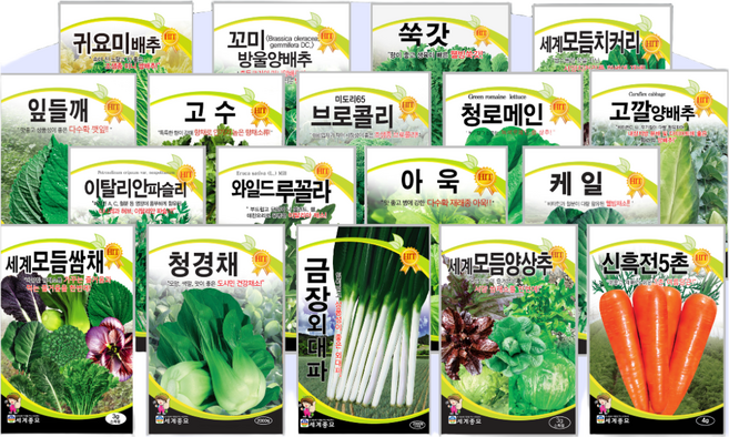 채소씨앗 / 공심채 루꼴라 케일 고수 깻잎 브로콜리 청경채 시금치 치커리 쑥갓 종자, 44. 두메부추 100립, 1개