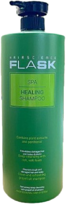 플라스크 스파 힐링 샴푸 미용실샴푸 시트러스향, 2개