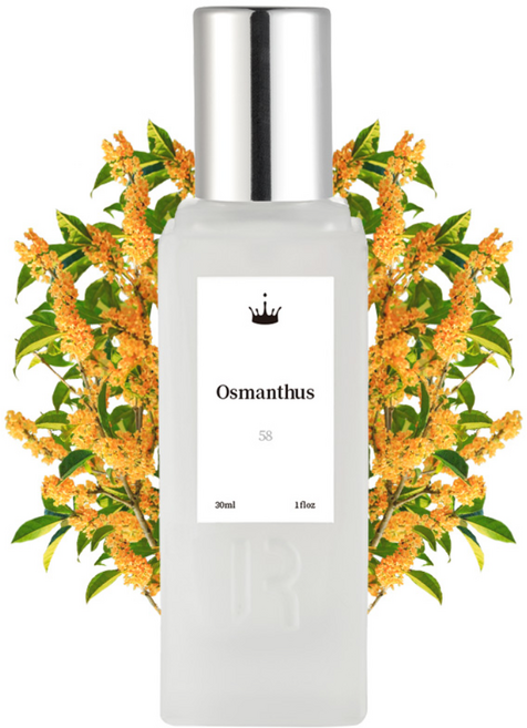 로얄워터 엑스트레 드 퍼퓸 58 오스만투스, 30ml, 1개