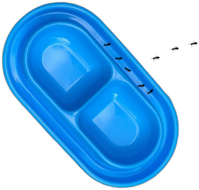 길고양이밥그릇 길냥이 개미방지 밥 그릇 강아지 고양이 사료 캠핑식기 개미퇴치, 그레이 소 01370GAC, 1개