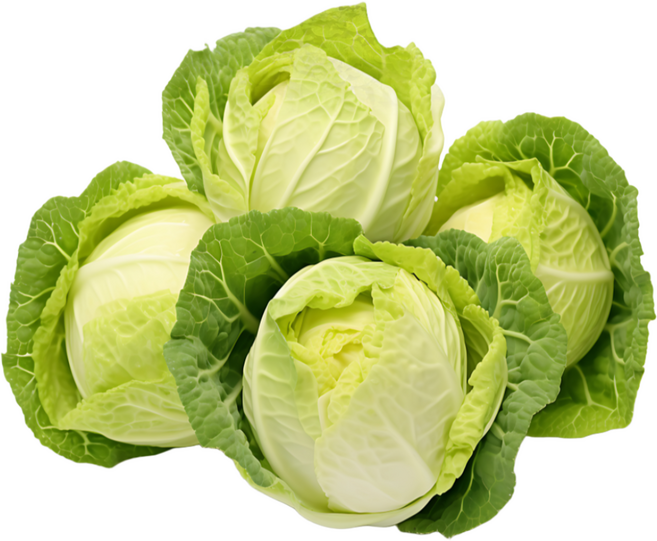 양배추 2통 4~5kg, 5kg, 1개