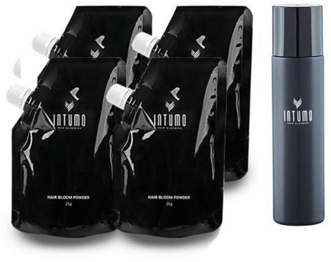 인투모 흑채 리필용 파우더 25g x 4p + 파인 픽서 80ml, 파우더(브라운), 1개