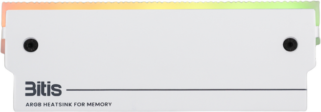 비티즈 DDR4 DDR5 메모리 램 방열판 히트싱크 P104 LED ARGB, 화이트, 2개