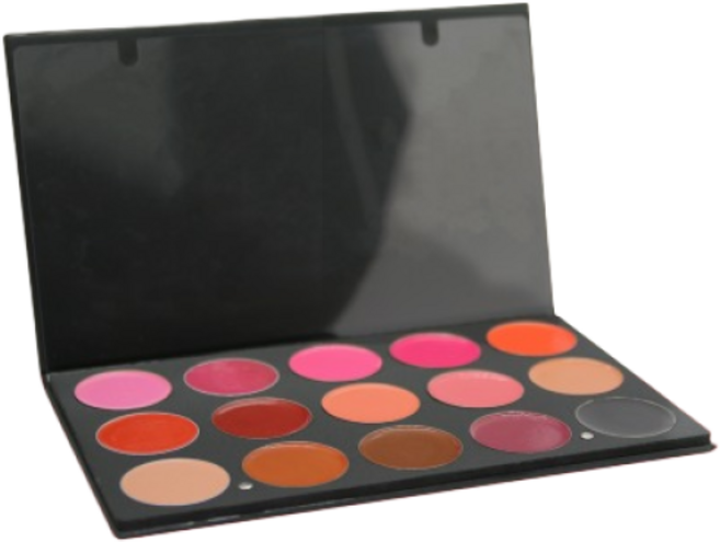 코디피아 15색 립 팔레트 메이크업 국가자격증 시험용, 1개, 기본