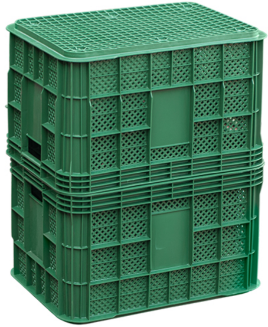 공룡플라스틱 플라스틱박스 과일 농산물 사각 보관 수납 용기 컨테이너 콘티 이사 바구니 운반 상자 사각상자 3개, 사각상자 3개(녹색(재생))