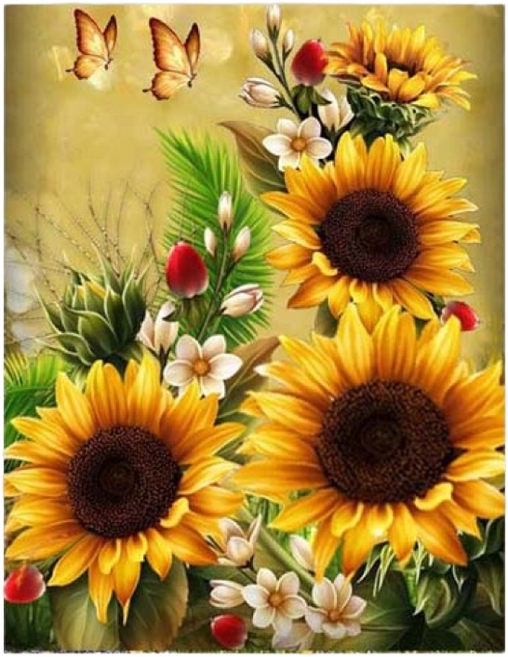 엠제이에스 명화그리기 50x40cm (캔버스형) DIY 유화 세트, KK28 금빛 황금 해바라기