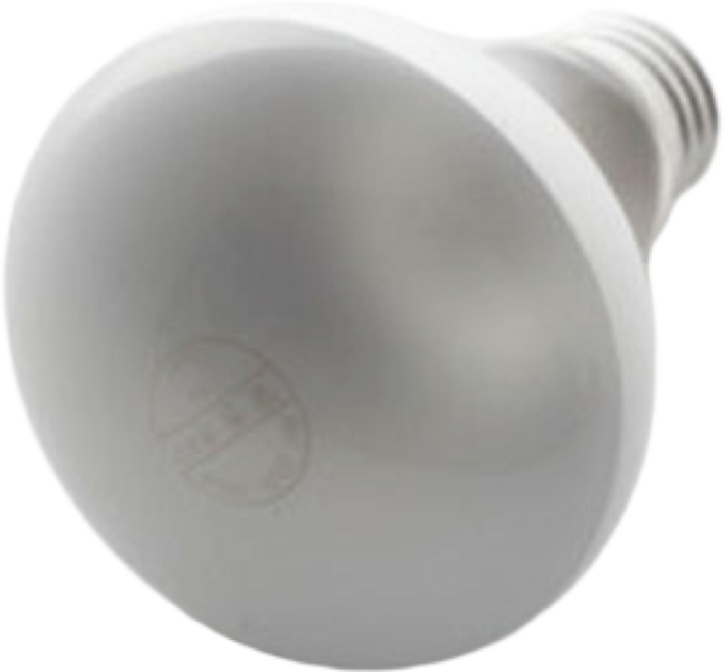 일광 반사구 60W 파충류 스팟조명 열전구 발열전구 히팅램프, 기타색, 1개