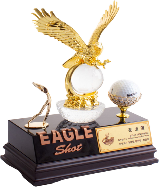유어워드 골프이글패 이글패 골프트로피 홀인원트로피 홀인원패 싱글트로피 골프싱글패 34-2, 1개, 금도금