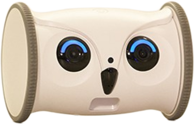 [아지패키지세트] 스마트코지+강아지펫식기 강아지움직이는장난감 펫CCTV 노즈워크 펫캠 간식로봇 중형견밥그릇 식기세트, 1개