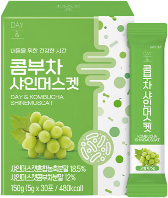 참앤들황토농원 [참앤들황토농원] 데이앤 콤부차 샤인머스켓 30포 4박스, 150g, 1개