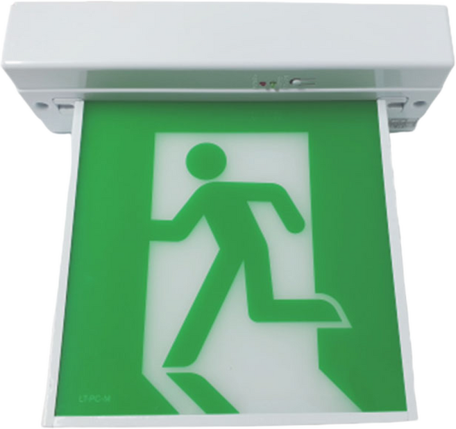 리더스테크/천장형유도등/중형/양면/무방향/비상구, 1개